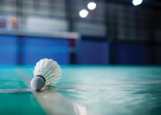 Badminton